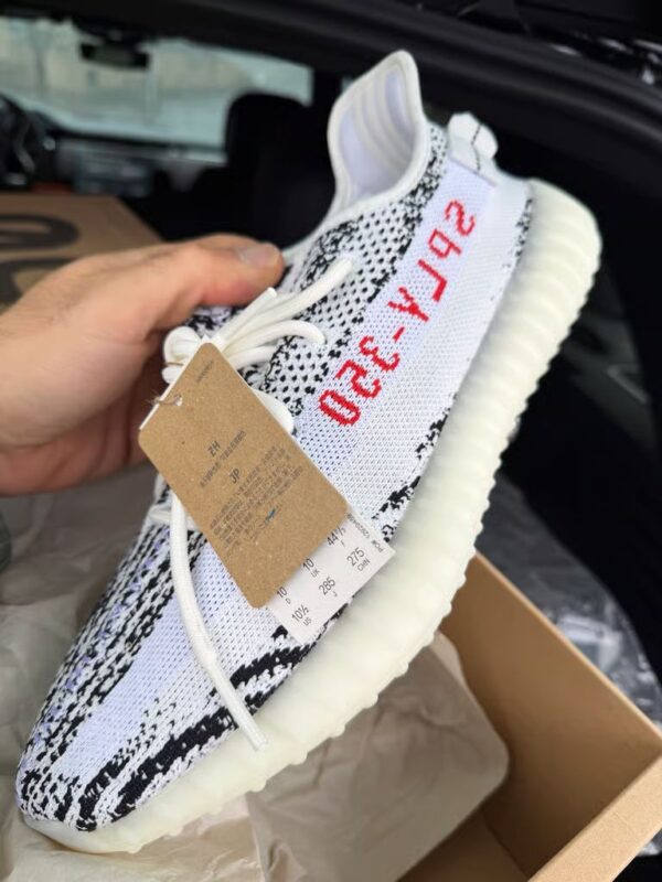 Image #1 from Alban Dudley